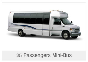 Coach Bus Services